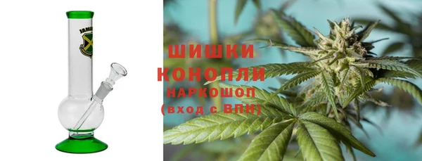 дживик Арсеньев