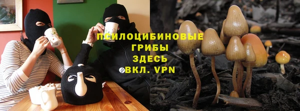 меф Армянск